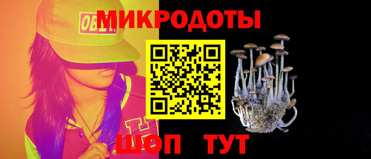 Галлюциногенные грибы мицелий Кашира