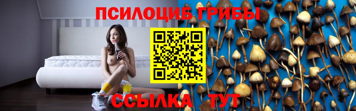 Галлюциногенные грибы MAGIC MUSHROOMS  Вход с VPN  Псилоцибиновые грибы мухоморы  дарнет шоп  Кашира 